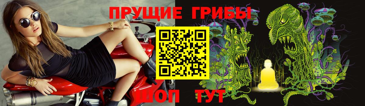 Галлюциногенные грибы Psilocybine cubensis Гагарин