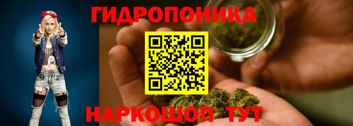 Марихуана план  Вход с VPN  Конопля White Widow  Гагарин  Бошки Шишки семена 